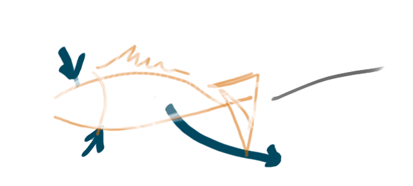 Graphics of a handmade fish